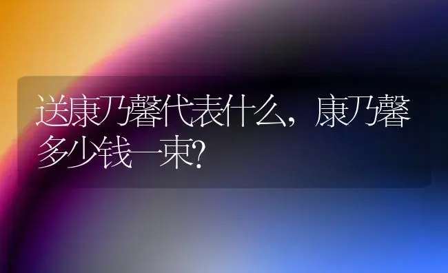 送康乃馨代表什么，康乃馨多少钱一束？ | 绿植常识