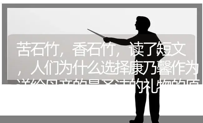 苦石竹，香石竹，读了短文，人们为什么选择康乃馨作为送给母亲的最圣洁的礼物的原因？ | 绿植常识