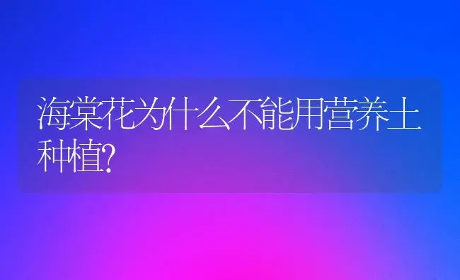 海棠花为什么不能用营养土种植？ | 绿植常识