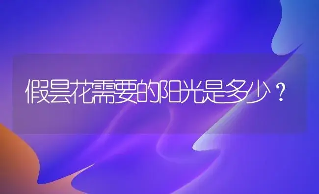 假昙花需要的阳光是多少？ | 多肉养殖