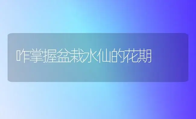 咋掌握盆栽水仙的花期 | 家庭养花