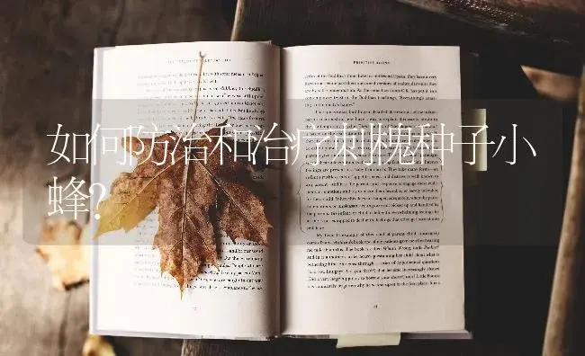 如何防治和治疗刺槐种子小蜂？ | 特种种植