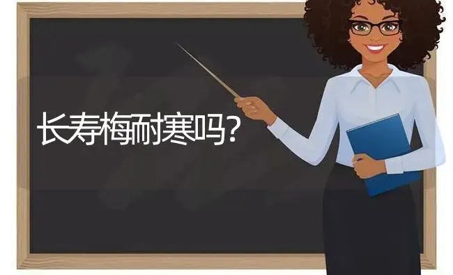 长寿梅耐寒吗？ | 多肉养殖