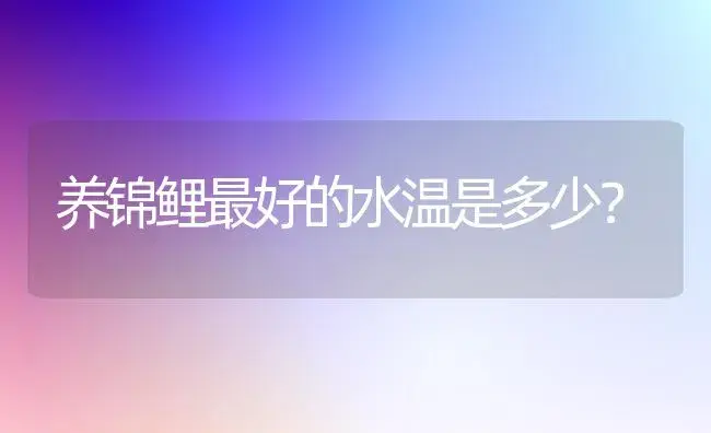 养锦鲤最好的水温是多少？ | 多肉养殖