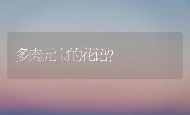 多肉元宝的花语？ | 多肉养殖