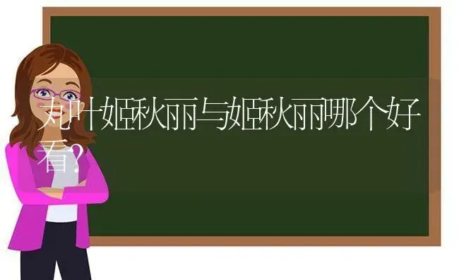 丸叶姬秋丽与姬秋丽哪个好看？ | 多肉养殖