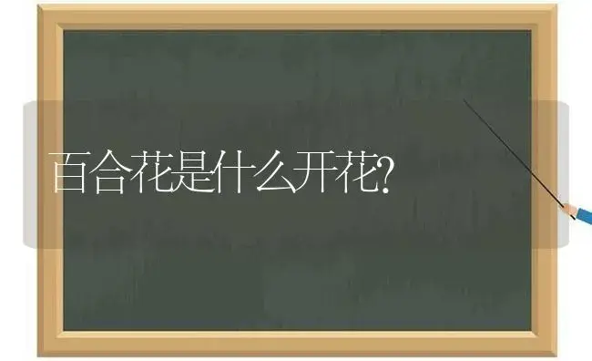 百合花是什么开花？ | 绿植常识