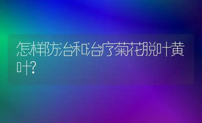 怎样防治和治疗菊花脱叶黄叶? | 家庭养花