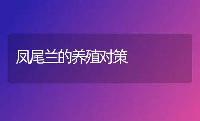 凤尾兰的养殖对策 | 家庭养花