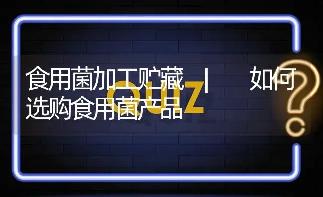 如何选购食用菌产品 | 菌菇种植