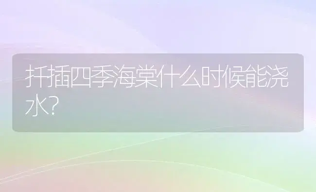 扦插四季海棠什么时候能浇水？ | 绿植常识