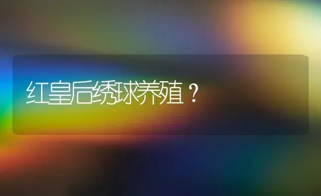 红皇后绣球养殖？ | 绿植常识