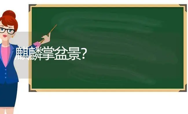 麒麟掌盆景？ | 多肉养殖