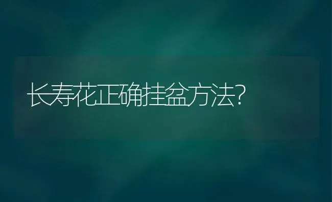 长寿花正确挂盆方法？ | 多肉养殖