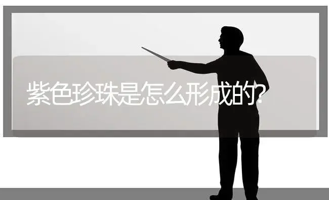 紫色珍珠是怎么形成的？ | 多肉养殖