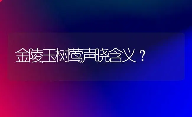 金陵玉树莺声晓含义？ | 多肉养殖