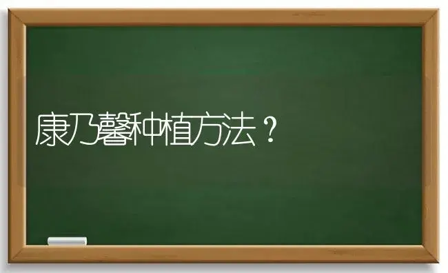 野百合能放在室内养吗有毒吗？ | 绿植常识