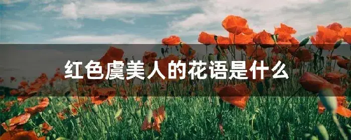 红色虞美人的花语是什么