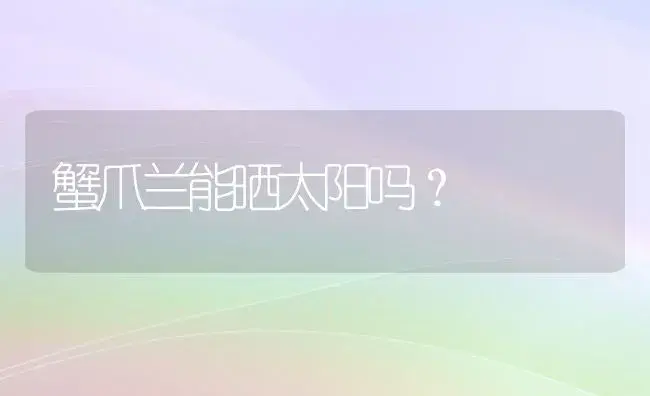 蟹爪兰能晒太阳吗？ | 家庭养花