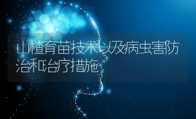 山楂育苗技术以及病虫害防治和治疗措施 | 果木种植