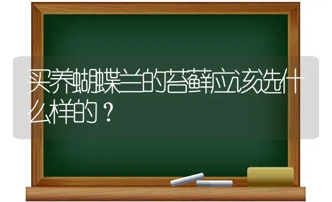 买养蝴蝶兰的苔藓应该选什么样的？ | 绿植常识