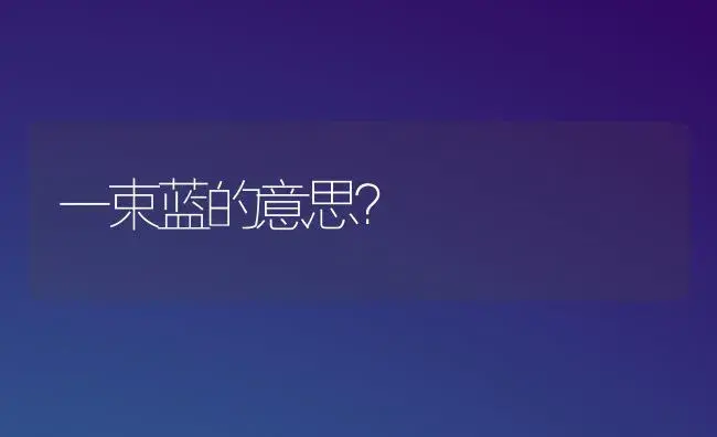 一束蓝的意思？ | 绿植常识