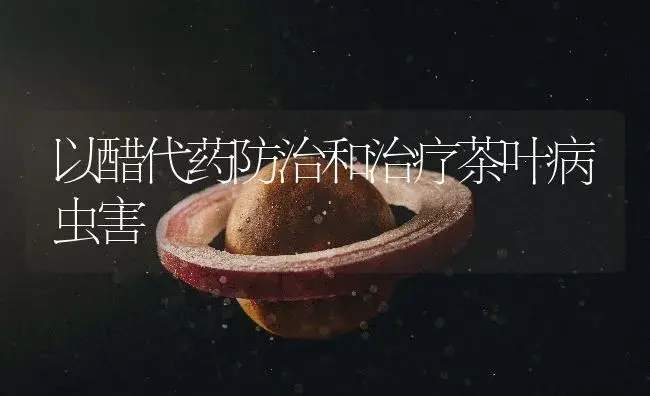 以醋代药防治和治疗茶叶病虫害 | 农作物种植