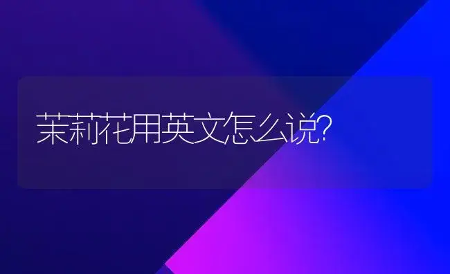 茉莉花用英文怎么说？ | 绿植常识