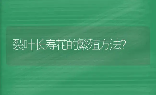 裂叶长寿花的繁殖方法？ | 多肉养殖