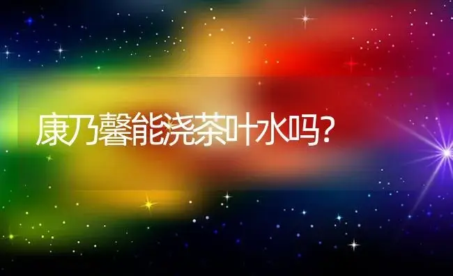 康乃馨能浇茶叶水吗？ | 绿植常识