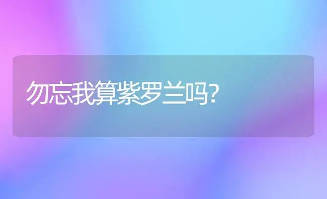 勿忘我算紫罗兰吗？ | 绿植常识