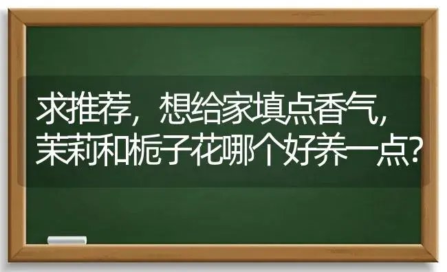 求推荐，想给家填点香气，茉莉和栀子花哪个好养一点？ | 绿植常识