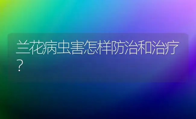 兰花病虫害怎样防治和治疗？ | 家庭养花