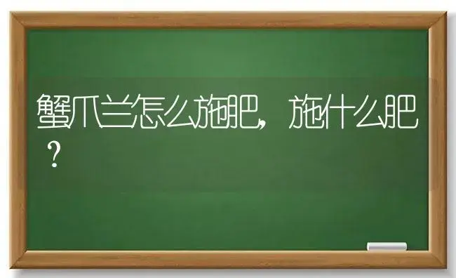 蟹爪兰怎么施肥,施什么肥？ | 多肉养殖