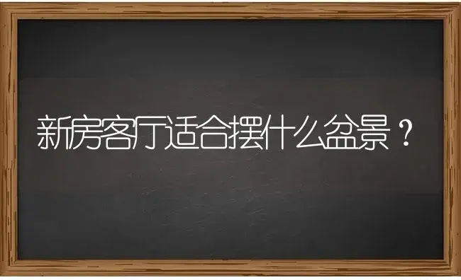 新房客厅适合摆什么盆景？ | 多肉养殖