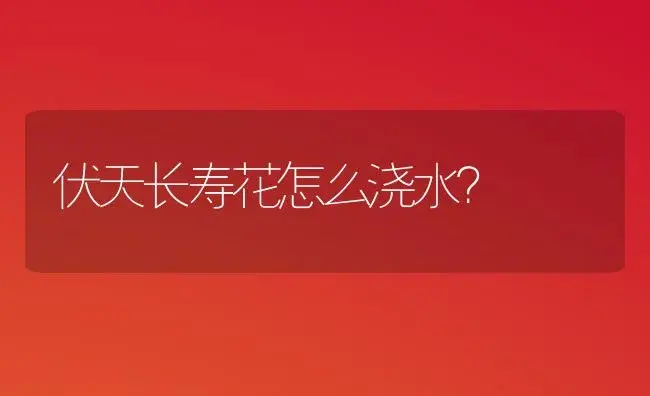 伏天长寿花怎么浇水？ | 多肉养殖