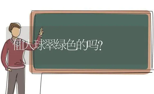 仙人球翠绿色的吗？ | 多肉养殖