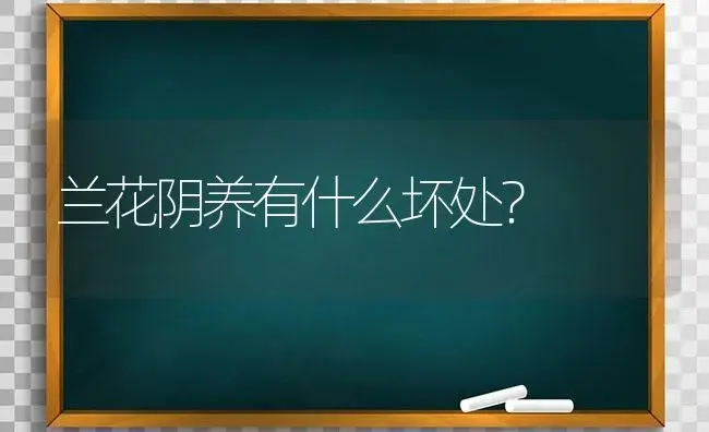 兰花阴养有什么坏处？ | 绿植常识