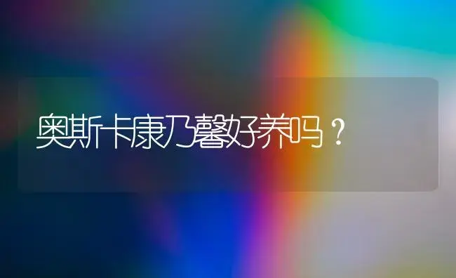 奥斯卡康乃馨好养吗？ | 绿植常识