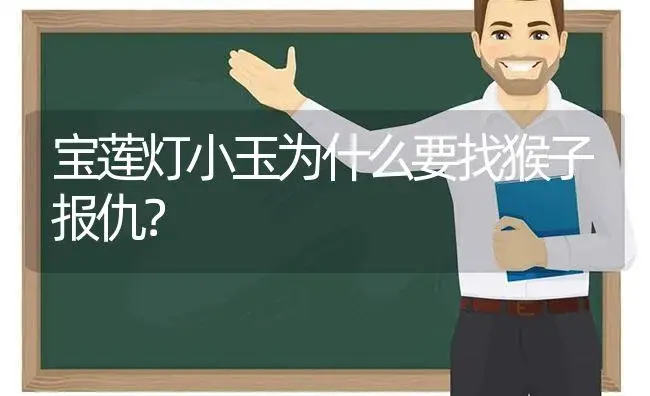宝莲灯小玉为什么要找猴子报仇？ | 多肉养殖