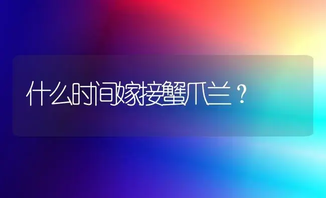 什么时间嫁接蟹爪兰？ | 多肉养殖