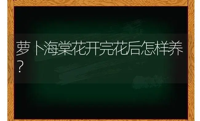 丽格海棠如何促分枝？ | 绿植常识