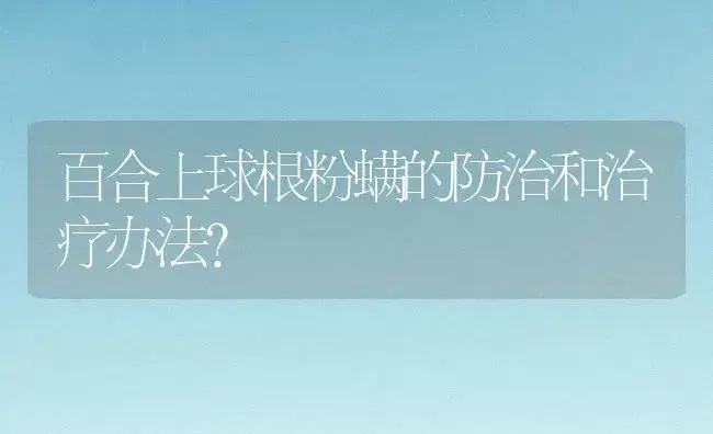 百合上球根粉螨的防治和治疗办法？ | 家庭养花