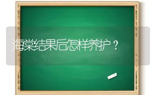 海棠结果后怎样养护？ | 绿植常识