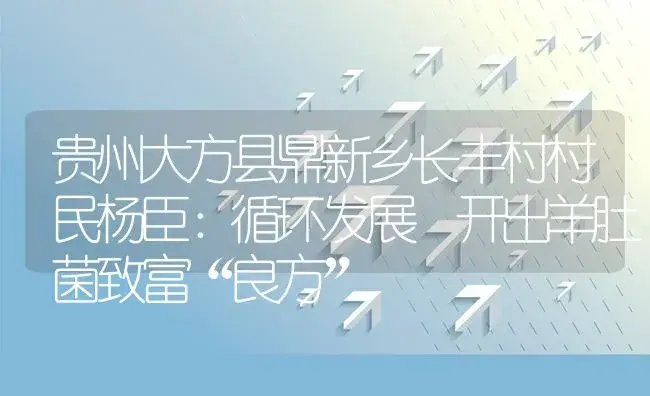 贵州大方县鼎新乡长丰村村民杨臣：循环发展 开出羊肚菌致富“良方” | 菌菇种植