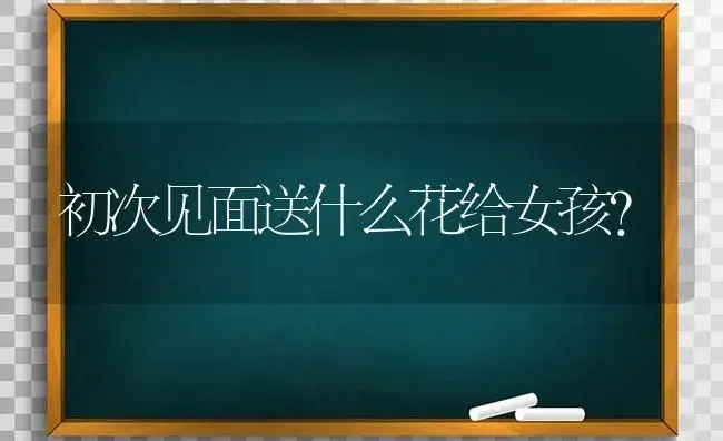 初次见面送什么花给女孩？ | 绿植常识