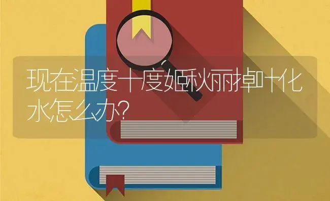 现在温度十度姬秋丽掉叶化水怎么办？ | 多肉养殖