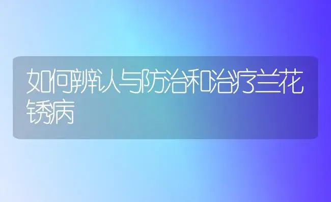 如何辨认与防治和治疗兰花锈病 | 家庭养花