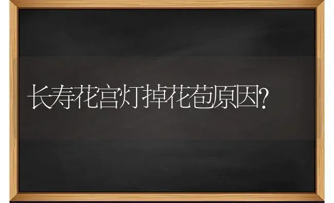 不同的两种蟹爪兰能嫁接在一起吗？ | 多肉养殖