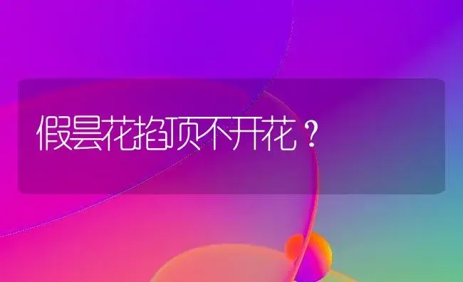 假昙花掐顶不开花？ | 多肉养殖